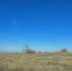 20250107_131320 - Сетевое издание Арбуз