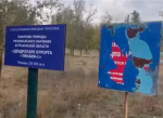 Дендропарк курорта-призрака под Астраханью сохранил статус памятника природы