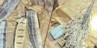 В Астраханской области две местные жительницы предстанут перед судом по обвинению в незаконном обороте водных биологических ресурсов - СУ СК РФ