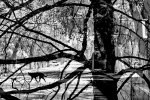 В Центральной городской библиотеке открылась выставка концептуальной фотографии