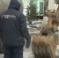 На улице Куликова в Астрахани устранили коммунальную аварию - Астрахань 24