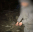 JPG Файл - УМВД Астраханской области