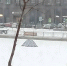 IMG_20250301_145129_181_edit_1008280919798704 - Сетевое издание Арбуз