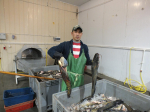 Какие перспективы у астраханских промрыбаков на этот сезон
