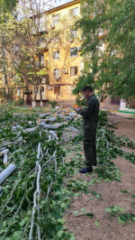 В Астрахани суд вынес приговор директору УК после гибели семилетней девочки из-за упавшего дерева