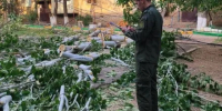 В Астрахани директор управляющей компании получил 2,5 года тюрьмы за смерть ребёнка - ГТРК Лотос