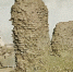 Жизнь астраханцев в старину: Селитренное - Астраханский листок