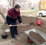 Дворы Астрахани украсят цветы: стартовала акция «Зелёный апрель» - Astrakhanpost.Ru