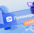 «РТК ИТ плюс» расширяет границы «Лукоморья» и предлагает ИТ-решения нового уровня - Юг России