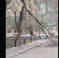 Фото: Скриншот с видео корреспондента КаспийИнфо - KaspyInfo.Ru