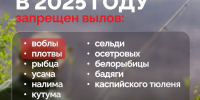 photo_2025-03-26_13-18-18 - Сетевое издание Арбуз