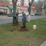 В Астрахани восстанавливают то, что сломали и повредили вандалы - Punkt-a.info