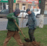 В Астрахани на месте загубленных вандалами деревьев посадили новые - Bloknot-Astrakhan.Ru