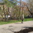 В Астрахани моют столбы вдоль дорог - Администрация города