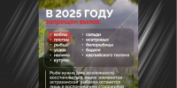 В Астраханской области стартовала операция «Путина-2025» - Юг России
