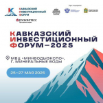 Астраханцы могут стать обладателями Всероссийской инвестиционной премии «Вершина»
