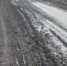Screenshot_20250404_153333_VK - Сетевое издание Арбуз