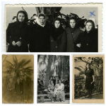 MyCollages (5)