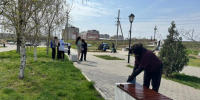Астраханцы навели порядок на улицах города - Астрахань 24