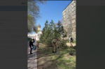 На аллее Воинов-Интернационалистов наводили чистоту свыше трёхсот астраханцев
