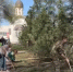 Субботник на аллее Воинов-Интернационалистов собрал более 300 астраханцев - Астраханский листок