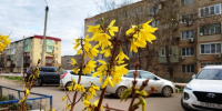 Завтра в Астраханской области будет жарко до +25° и местами – грозно - Punkt-a.info