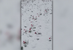 Астраханский заповедник замело снегом