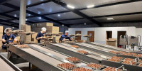 Цены ниже рыночной: в Астрахани откроют точки продажи яиц к Пасхе - Bloknot-Astrakhan.Ru