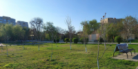 В Астрахань идет потепление - Bloknot-Astrakhan.Ru
