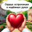 Сердце - главный «мотор», и заботиться о нем нужно регулярно! - Газета Волга