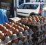 За два дня астраханцы скупили больше 400 тысяч куриных яиц - Bloknot-Astrakhan.Ru