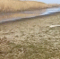Село под Астраханью осталось без воды из-за пересохшей речки - Астраханский листок