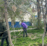 Астраханцы объединяются для масштабной уборки города - Астрахань 24