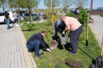 В сквере Журналистов прошел субботник