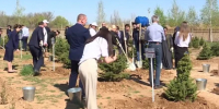 В Астрахани высадили аллею елей к 80-летнему юбилею Победы - ГТРК Лотос