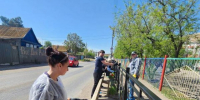 В Астрахани на центральной набережной высадили сирень - Администрация города