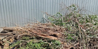 Проблемная контейнерная площадка в Астрахани не может избавиться от мусора - Astrakhanpost.Ru