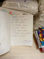 ЛДПР в Астрахани поддерживает швей-волонтеров