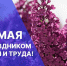 Игорь Мартынов поздравил астраханцев с Днём Весны и Труда - Астрахань 24