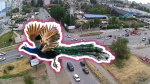 Обитавший в астраханском парке павлин вырвался на свободу