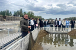 Астраханские предприниматели участвуют в праймериз