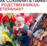AHBo75DtkAH-eOr21BsjHcyStunucUs3M4AB-ZzZfJhDde88rpH30IjrJeY8Cfg8433COZhlDQn5AQLWU507k4mi.jpg - МФЦ