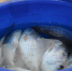КаспийИнфо. Новости Астрахани и региона - KaspyInfo.Ru