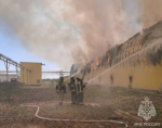 В пожаре на птицефабрике в Астраханской области погибли 166 тысяч кур