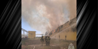 Пожар на Астраханской птицефабрике: погибло более 150 тысяч кур - Юг России
