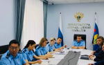 Прокуратура и власти ищут решение проблем льготников и бездомных животных