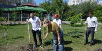 Астраханские предприниматели высадили деревья в парке «Аркадия» - Астрахань 24