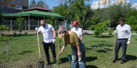 В Астрахани высадили новые деревья на аллее предпринимателей - Астраханский листок