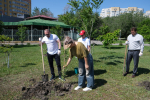 В Астрахани высадили новые деревья на аллее предпринимателей