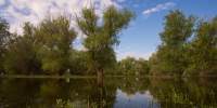 В Астраханскую область снизят сброс воды: когда и насколько - Bloknot-Astrakhan.Ru
